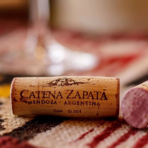 Vino DV CATENA Chardonnay 750ml - Imagen 3